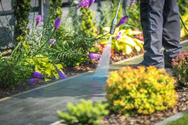 Professional Pressure Washing in Kincaid, IL